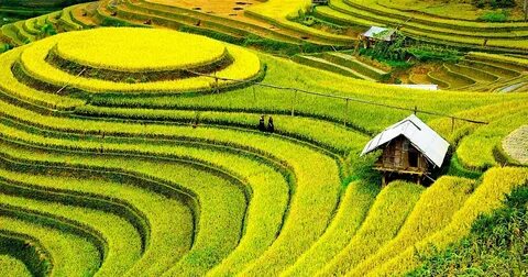 Chấm điểm loạt “green flags” - Cảm hứng video marketing từ Hotspot Matrix