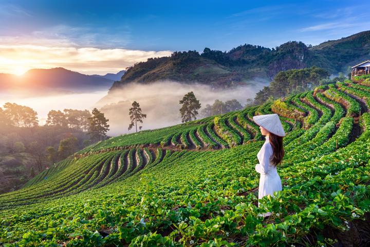 Sự Bùng Nổ Của Video Ngắn và Trí Tuệ Nhân Tạo: Vai Trò Thiết Yếu Của Đào Tạo Kỹ Năng Sáng Tạo Nội Dung_Ma trận bao vây