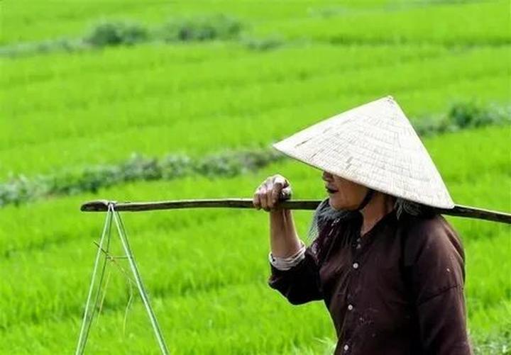 Chuyên gia Hotspot Matrix phân tích: Nữ diễn viên có style